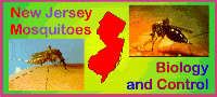 NJ Mosquitoes